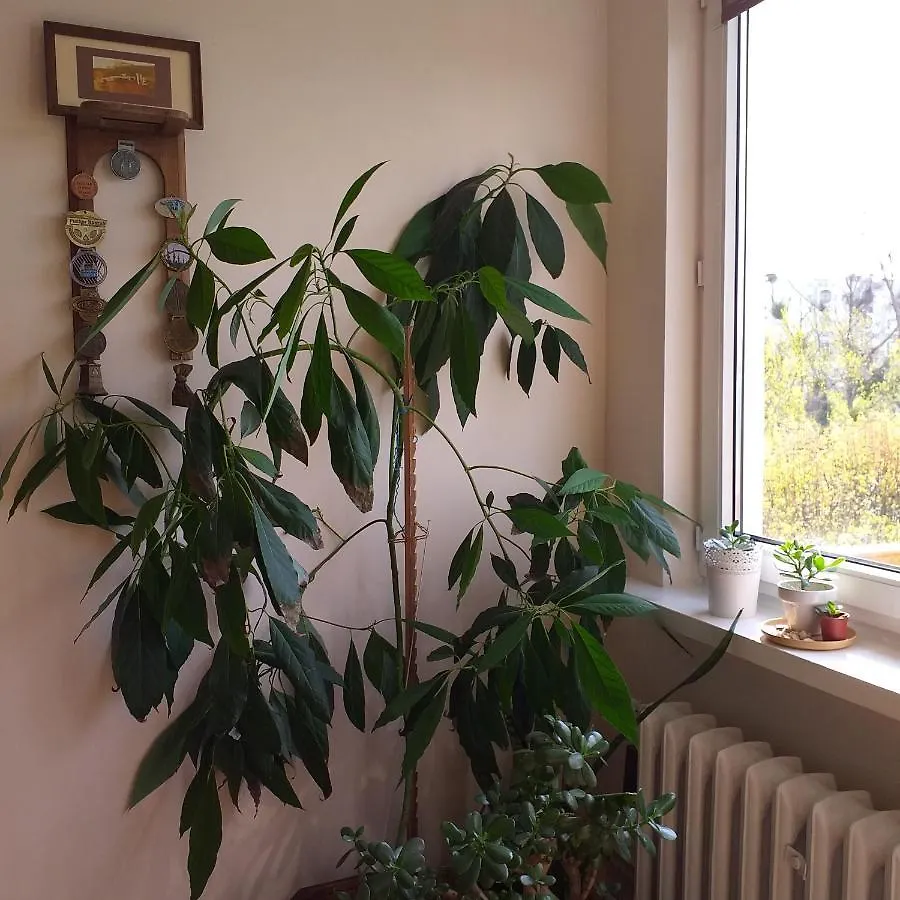 Wakacje nad morzem Gdańsk Polska
